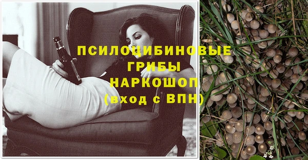 2c-b Вязьма