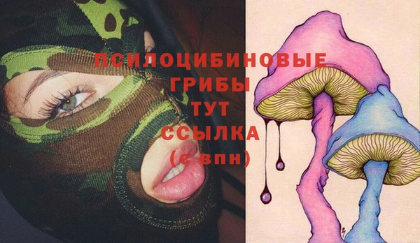 соль ск Вяземский