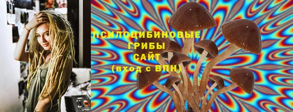 2c-b Вязьма