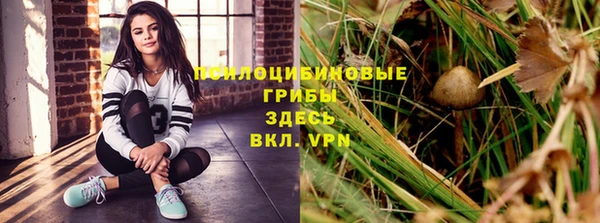 сатива Вязники