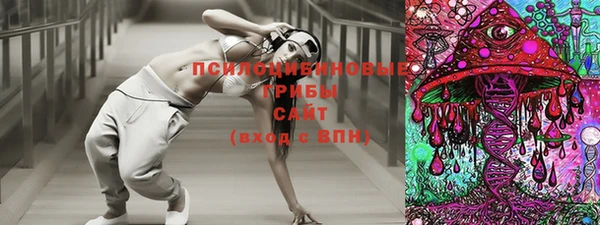 соль ск Вяземский