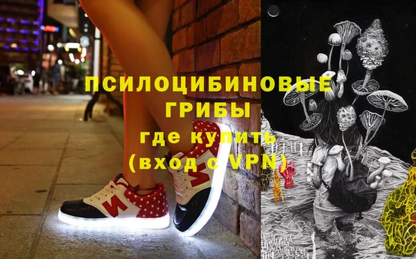 прущие грибы Ступино
