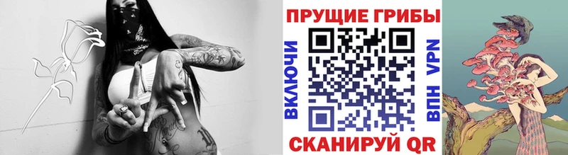 кракен tor  Новый Оскол  Галлюциногенные грибы Psilocybe 